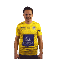 Vienna Uniqa Sticker by FirstViennaFC