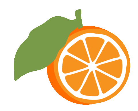 Orange Fruit Sticker by Erstwilder