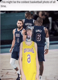 Leo GIF