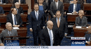 news impeachment adam schiff senate trial GIF