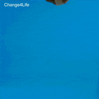 GIF by BBC Shorts
