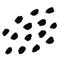 Drawing Line Sticker