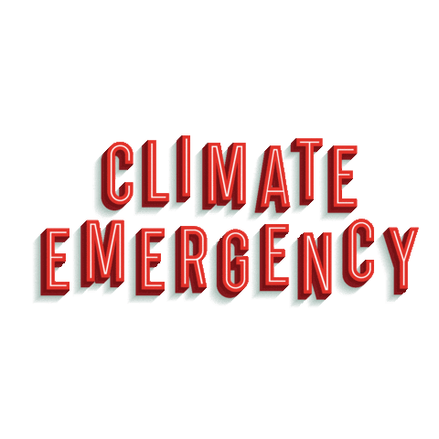 Climate Emergency Sticker by Crimson Education