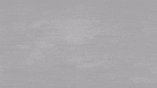 Abdou Harroui GIF by Sparta Rotterdam