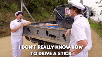 Driving Stick