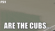 black cat baseball GIF by FOX Sports: Watch. Enjoy. Repeat.