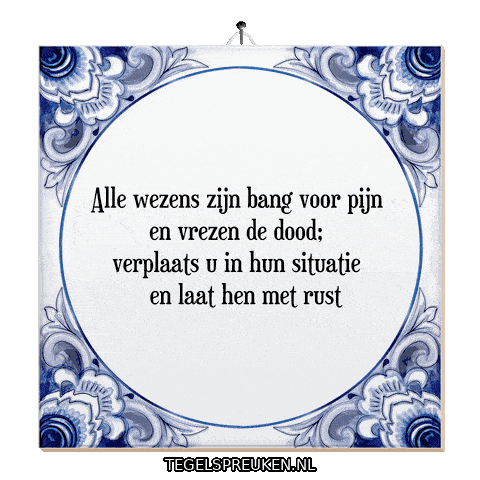 Humor Respect Sticker by Tegelspreuken.nl