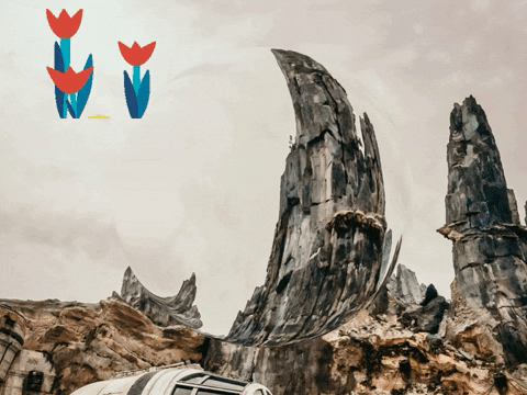 Germany Wow GIF by FranchiseCHECK.de