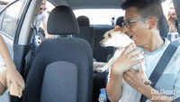 Uber Driver Surprises Passengers With Puppies