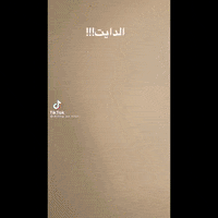 Weight Loss Food GIF by TikTok MENA