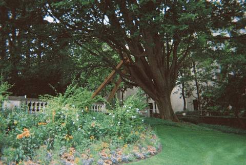 dominiklange34ca giphyupload GIF