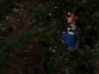 season 4 netflix GIF by Gilmore Girls 
