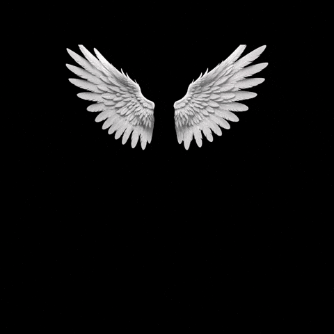 tinywiings rapper wiings tinywiings tinywings GIF