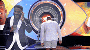 Happy Big Brother GIF by DStv