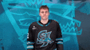 San Jose Idk GIF by San Jose Barracuda
