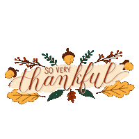 Thanks Thanksgiving Sticker