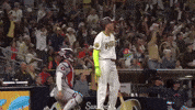 Celebrate Home Run GIF by MLB