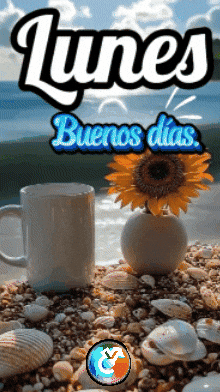De Vida Sol GIF by Murcianys LLC