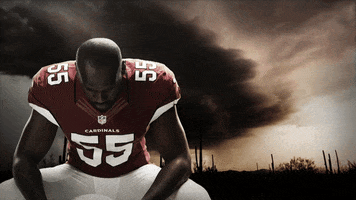 GIF by azcardinals