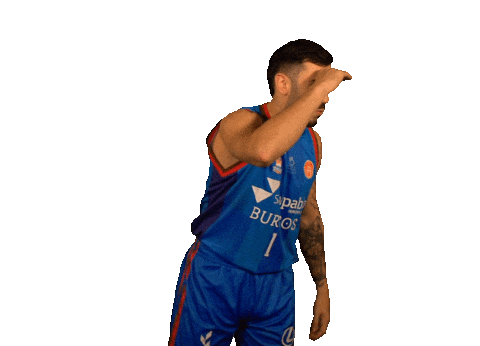 Didac Sticker by San Pablo Burgos