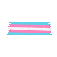 Flag Trans Sticker