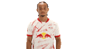 Rb Leipzig Cheering Sticker by Bundesliga