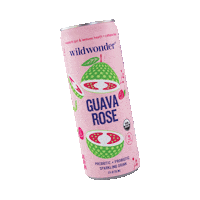 drinkwildwonder rose organic guava probiotic Sticker