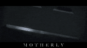 Movie Film GIF by Raven Banner Entertainment