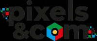 Pixel Logo GIF by Pixels and Com