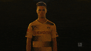 borussia dortmund yes GIF by Bundesliga