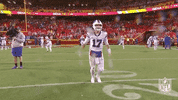 Buffalo Bills Football GIF by NFL