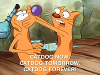 nicksplat GIF