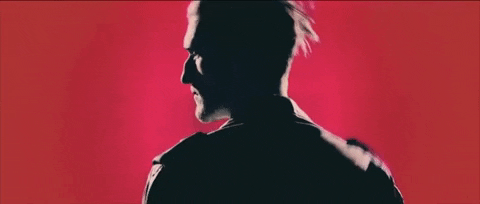 zedd giphydvr zedd clarity foxes GIF