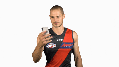 essendonfc giphyupload dons bombers essendon GIF