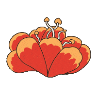 Sxsj Sticker by Bunkhouse Group