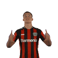 Swipe Up Sticker by Bayer 04 Leverkusen