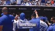 Chicago Cubs Baseball GIF