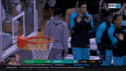 happy charlotte hornets GIF by NBA
