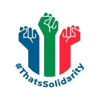 South Africa Power Sticker by Solidarity Fund