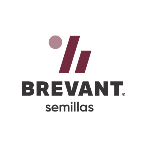 Brevant Sticker by Cortevapy