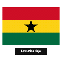 Flag Bandera Sticker by Formación Ninja