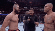 Mixed Martial Arts Sport GIF by UFC