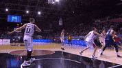 Assist Liga Endesa GIF by ACB
