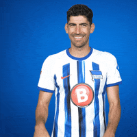 Andreas Bouchalakis Lol GIF by Hertha BSC