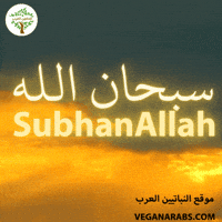 Allah GIF by VeganArabs