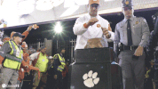 All In Swinney GIF by Clemson Tigers