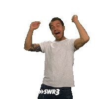 Happy Dance Sticker by SWR3