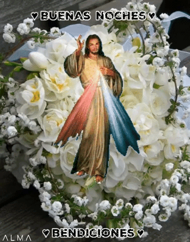 alma-b1a5 giphygifmaker giphyattribution buenas noches bendiciones GIF