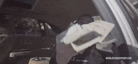 kodak black everything 1k GIF by Worldstar Hip Hop