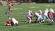 Celebration Hit GIF by GoDuquesne